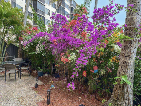 Beautiful Two Bedroom Vacation Rental Condo in Siesta Key